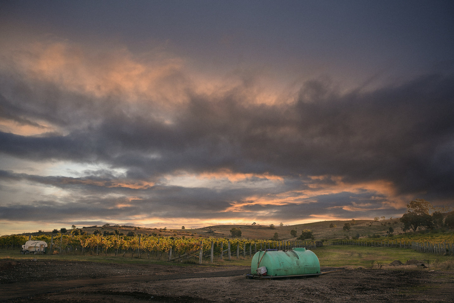The sun is setting over the hill, casting a soft, warm glow over a wide-angled shot of the lush vineyards at Vinea Marson in Heathcote, Victoria.