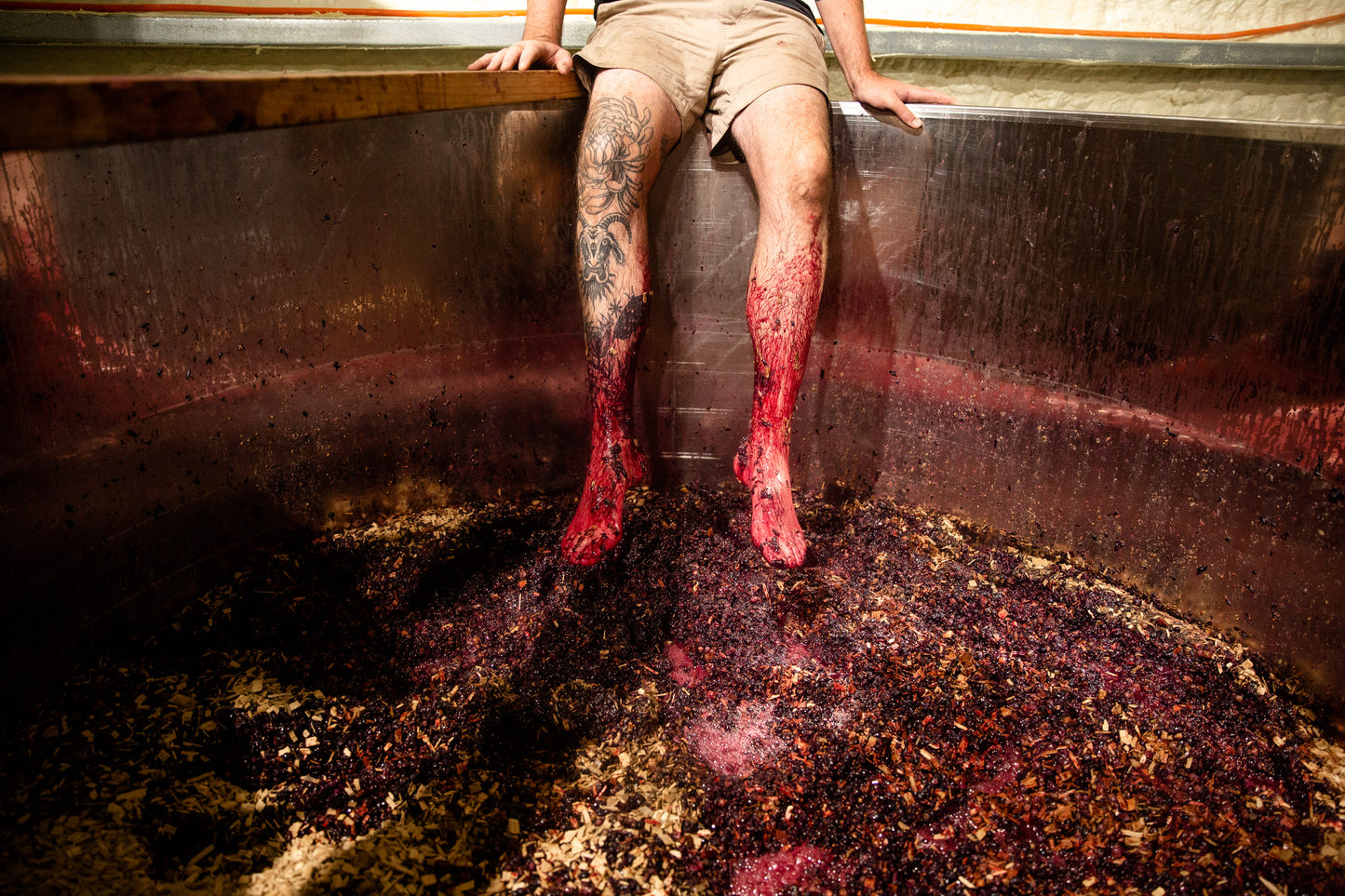 Two male legs, covered in red wine grape skins and juice, hang over a stainless steel tank following traditional wine foot stomping